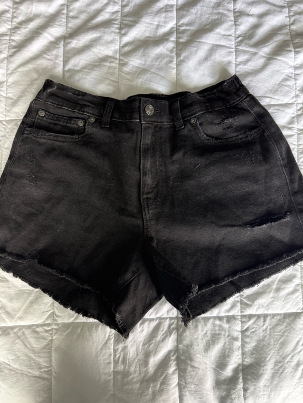 Aerie Shorts